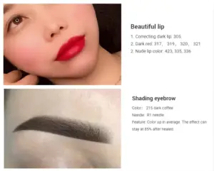 Professional tattoo artists use digital machines to perform eyebrow micro-sculpting and use BangyaPro tattoo pigments ink to create a natural gradient effect 