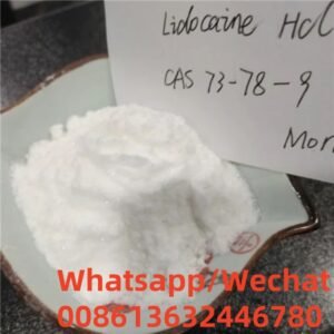 Premium lidocaine hydrochloride powder for medical and industrial use by Bangya Pharmaceuticals