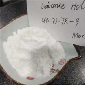 Lidocaine HCl Powder (CAS 73-78-9) - White crystalline pharmaceutical-grade anesthetic in sealed aluminum pouch